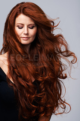 Buy stock photo Wind in hair, ginger and face of woman in studio for keratin treatment, wellness and growth on gray background. Beauty, hairdresser mockup and female model with shine, healthy and natural hairstyle