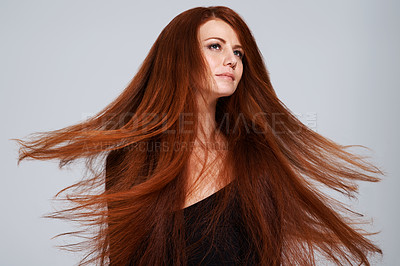 Buy stock photo Red hair, wind and face of woman in studio for treatment, wellness and movement on gray background. Beauty, hairdresser salon and female model with keratin shine, healthy and natural hairstyle