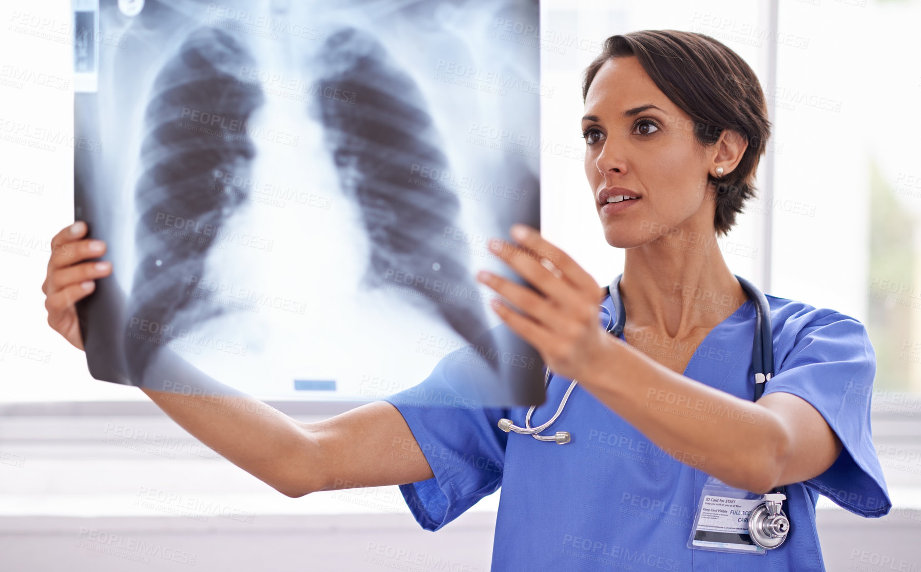 Buy stock photo Cropped shot of an attractive young female doctor