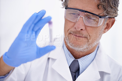 Buy stock photo A cropped shot of a mature scientist looking at a test tube in his lab
