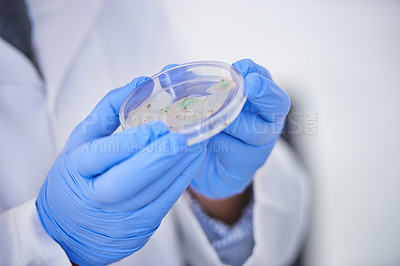 Buy stock photo A cropped shot of a scientist wearing gloves while holding a petri dish