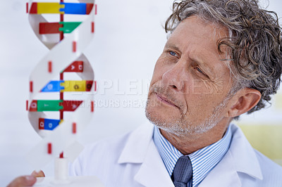 Buy stock photo Research, study and scientist with DNA model for healthcare, development and medicine in laboratory. Medical science, education and mature man with double helix, thinking and brainstorming in lab