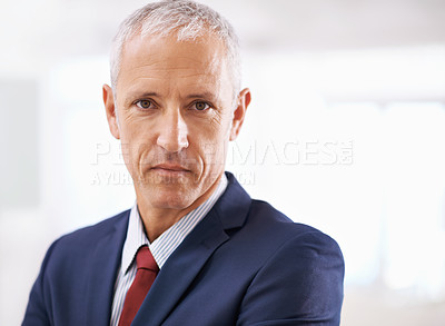 Buy stock photo Politician, confidence and portrait of mature businessman, ceo or senior manager at government office. Leadership, mockup and face of business owner, entrepreneur or professional at agency with pride