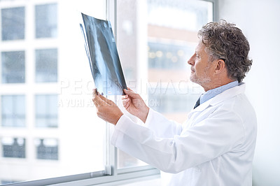 Buy stock photo Shot of a mature doctor examining an x ray in his office