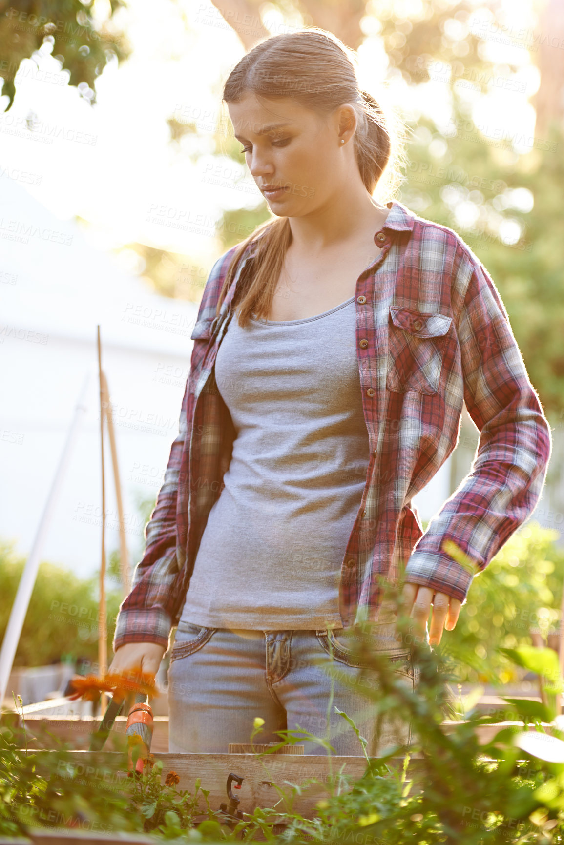 Buy stock photo Thinking, garden and vegetables with woman, nature or harvest with summer, outdoor or nutrition. Hobby, person or girl with tools or plants with backyard or environment with sunshine, vegan or choice