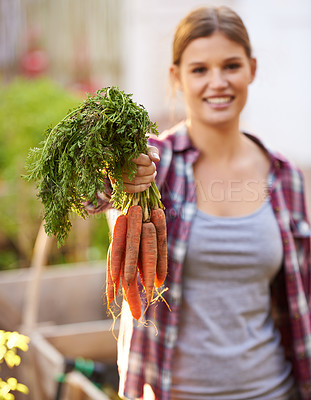 Buy stock photo Happy woman, portrait and harvest with carrots for garden or farming of crops and resources. Female person with smile and a bunch of roots or organic vegetables for natural growth or fresh produce