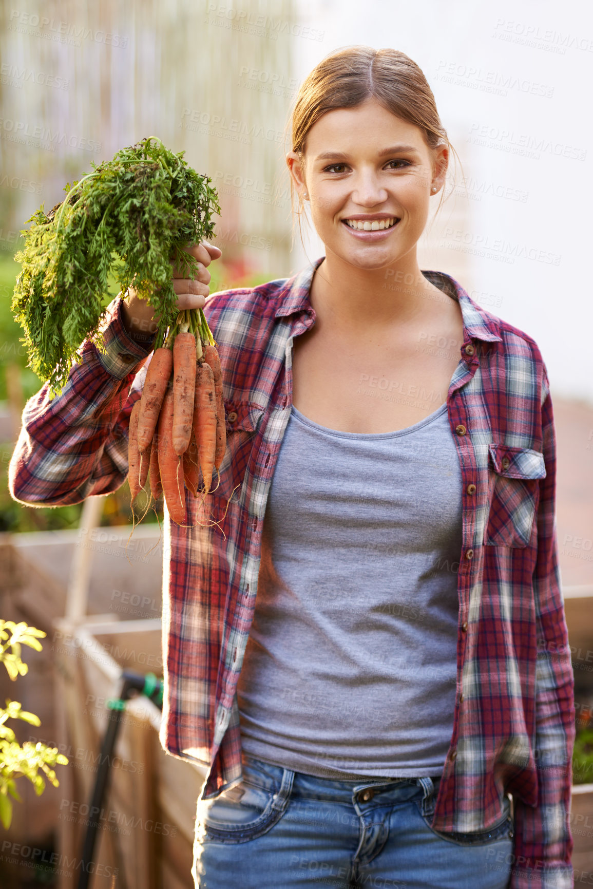 Buy stock photo Happy woman, portrait and farmer with carrots in harvest, garden or farm for crops or resources. Female person with smile and a bunch of roots for organic vegetables, natural growth or sustainability