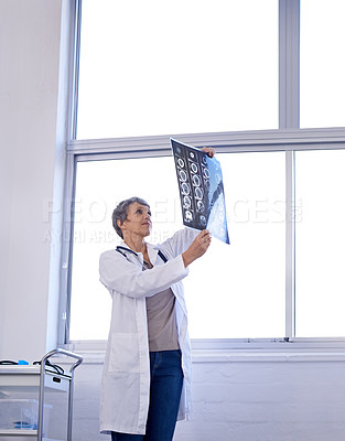 Buy stock photo Woman, senior doctor and analysis of xray for planning medical treatment, surgery and healthcare at hospital. Brain scan, neurology and radiology with surgeon for health assessment, anatomy and MRI