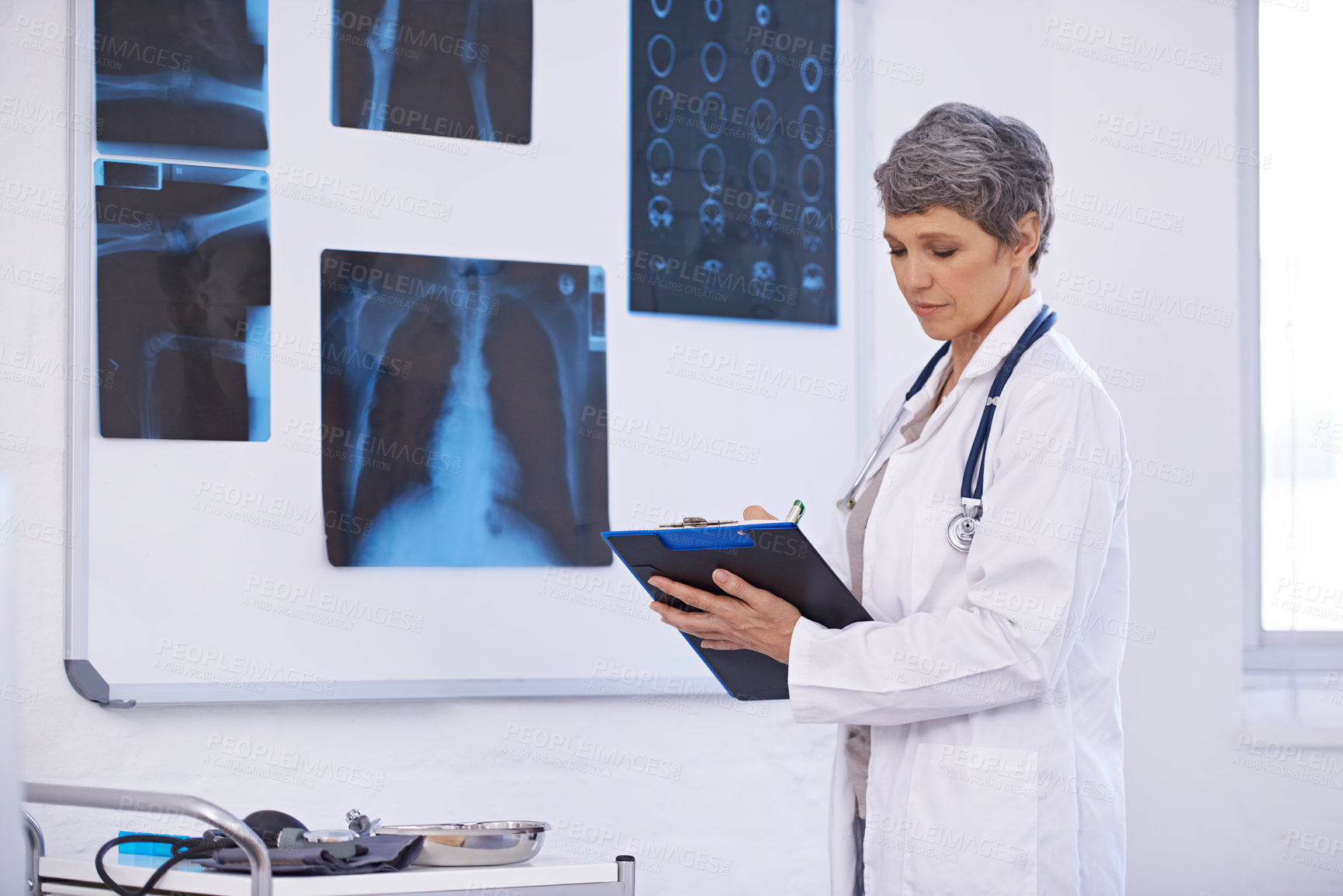 Buy stock photo Shot of a female doctor studying x-rays