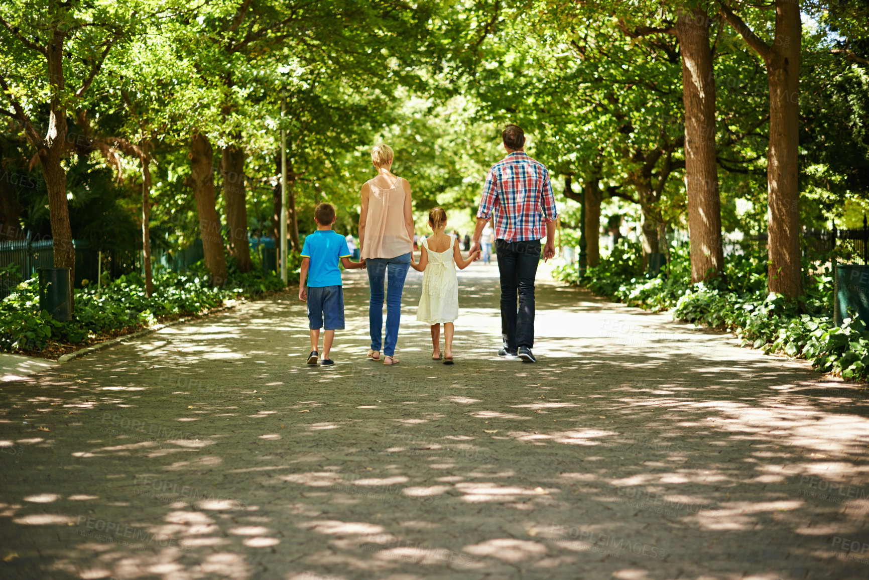 Buy stock photo A rear view shot of a family walking hand in hand through a beautiful park