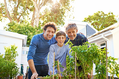 Buy stock photo Boy, father and grandfather in gardening portrait with smile, support and outdoor bonding together. Men, family and face of happy child with generations in backyard for legacy, weekend and plants