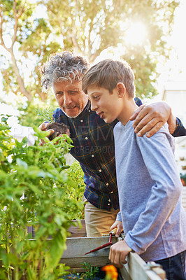 Buy stock photo Man, child and hug in garden for gardening with plant, leaf and soil in environment on summer with sun. Father, son and backyard for conversation with tool and root for sustainable and learning 