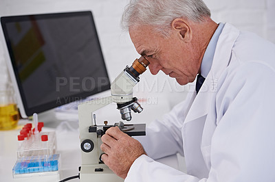 Buy stock photo Doctor, microscope and research in lab for medical experiment, vaccine study or pharmaceutical innovation. Investigation, mature scientist and biotechnology for development, dna or bacteria test