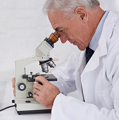 Buy stock photo Doctor, healthcare and microscope with research for medical innovation, development or bacteria sample. Mature scientist, lab and investigation with biotechnology for dna study, growth and test