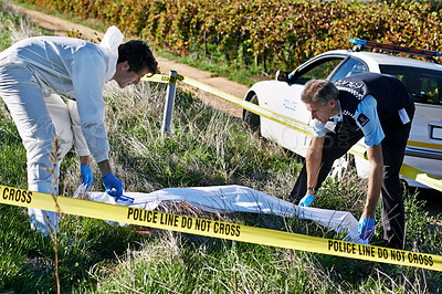 Buy stock photo Shot of two investigators picking up a body bag at a crime scene