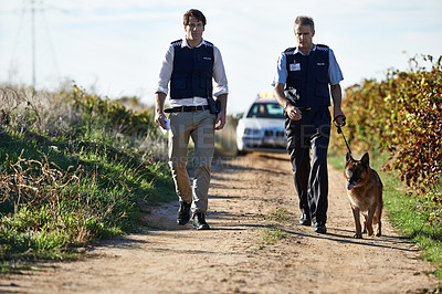 Buy stock photo Detective, dog and walk in field for robbery or crime scene  with car for search, safety and law enforcement. Policeman, investigation and uniform in outdoor working at countryside with gravel road