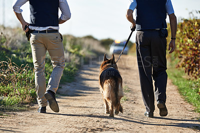Buy stock photo Rear view shot of two policeman and a dog walking down a rural road