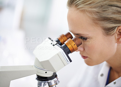 Buy stock photo Shot of a beautiful woman in a laboratory working with a microscope