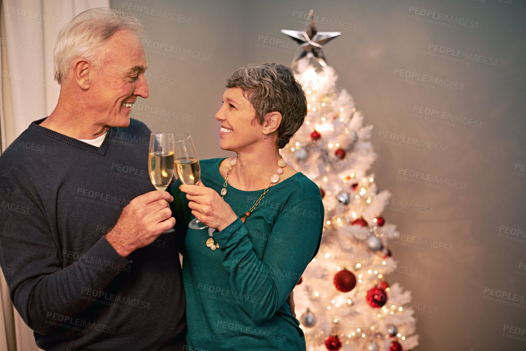 Buy stock photo Cropped shot of a happy mature couple toasting each other on Christmas eve
