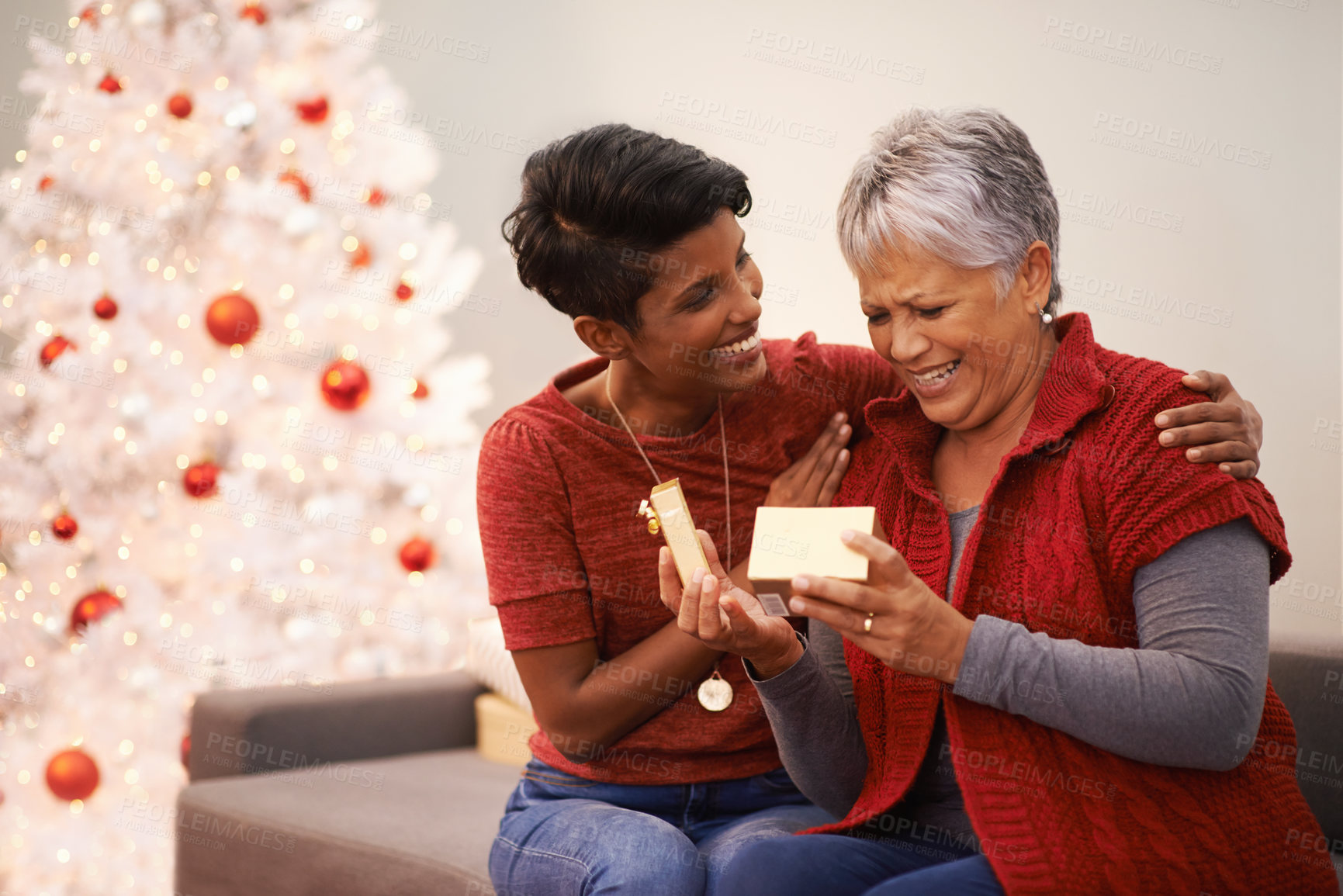 Buy stock photo A senior woman receiving a present from her daughter on Christmas
