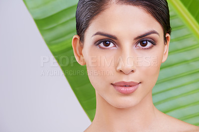 Buy stock photo Face, woman and beauty with palm leaf, makeup and natural skincare with dermatology on white background. Organic, nature and eco cosmetics in portrait, clean with wellness and sustainable treatment