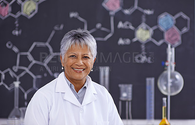 Buy stock photo A senior female scientist working in her lab