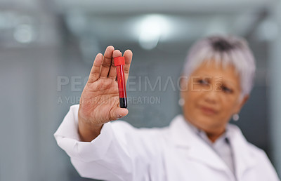Buy stock photo Science, blood sample and woman with test tube in laboratory for medical research and analysis study. Healthcare, biotechnology and scientist for vaccine development, DNA experiment and medicine