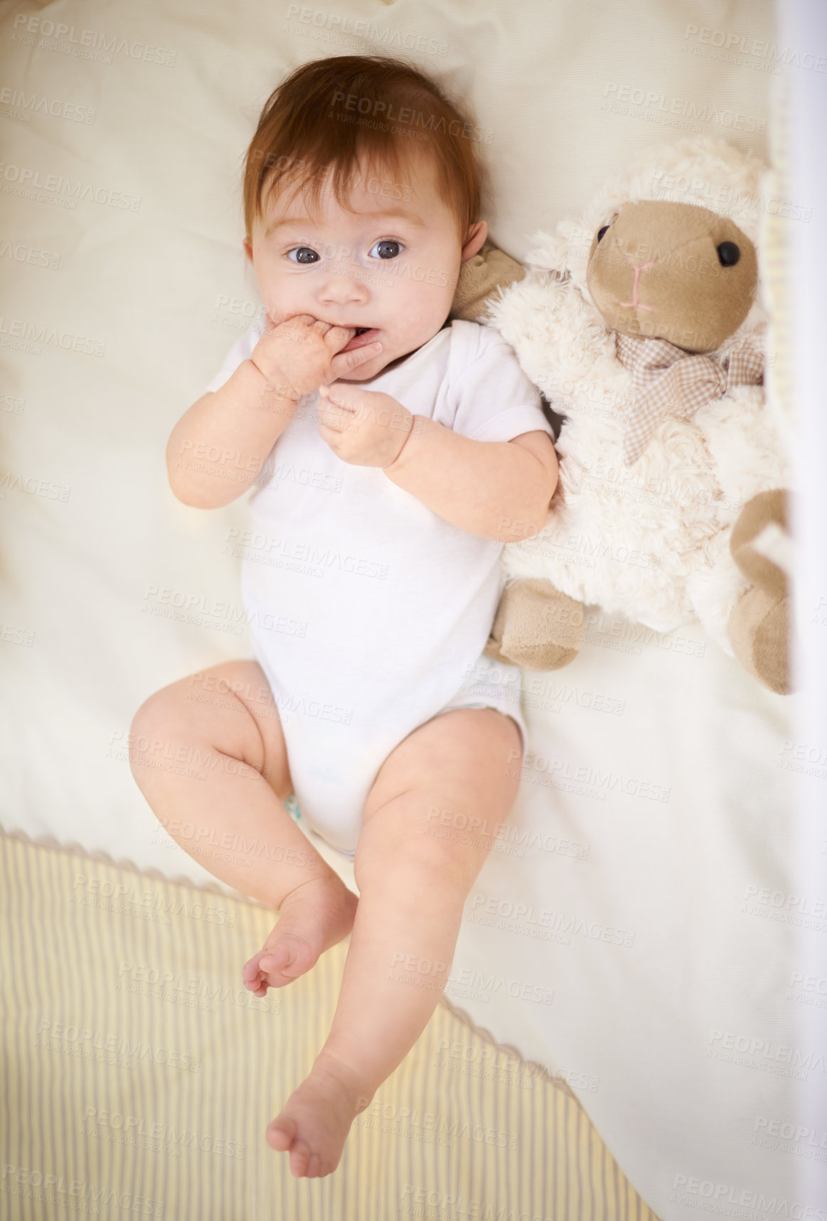 Buy stock photo Baby, nursery and rest with sheep in home, above and healthy with growth, development and relax in morning. Infant, child and newborn with lamb doll, toys and bite finger in bedroom at family house