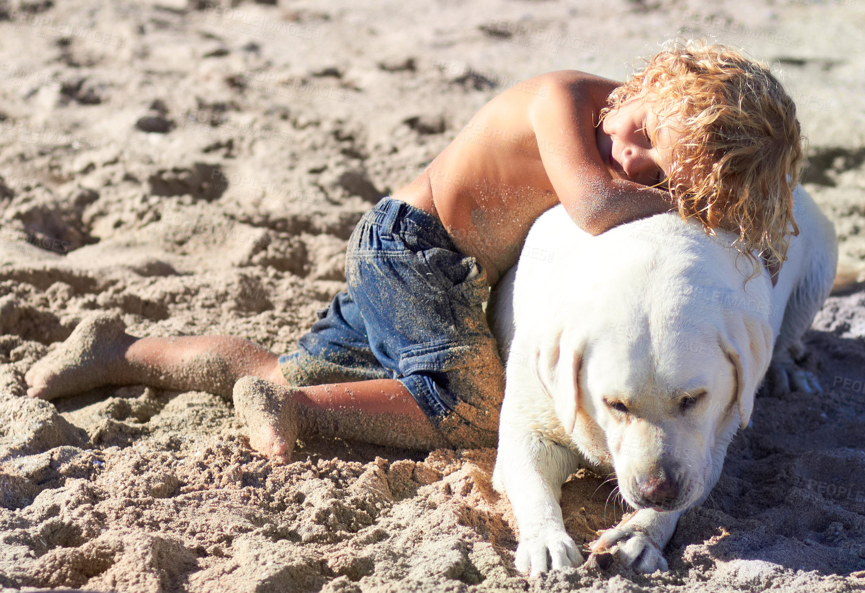 Buy stock photo Shot of a boy playing with his dog at the beach