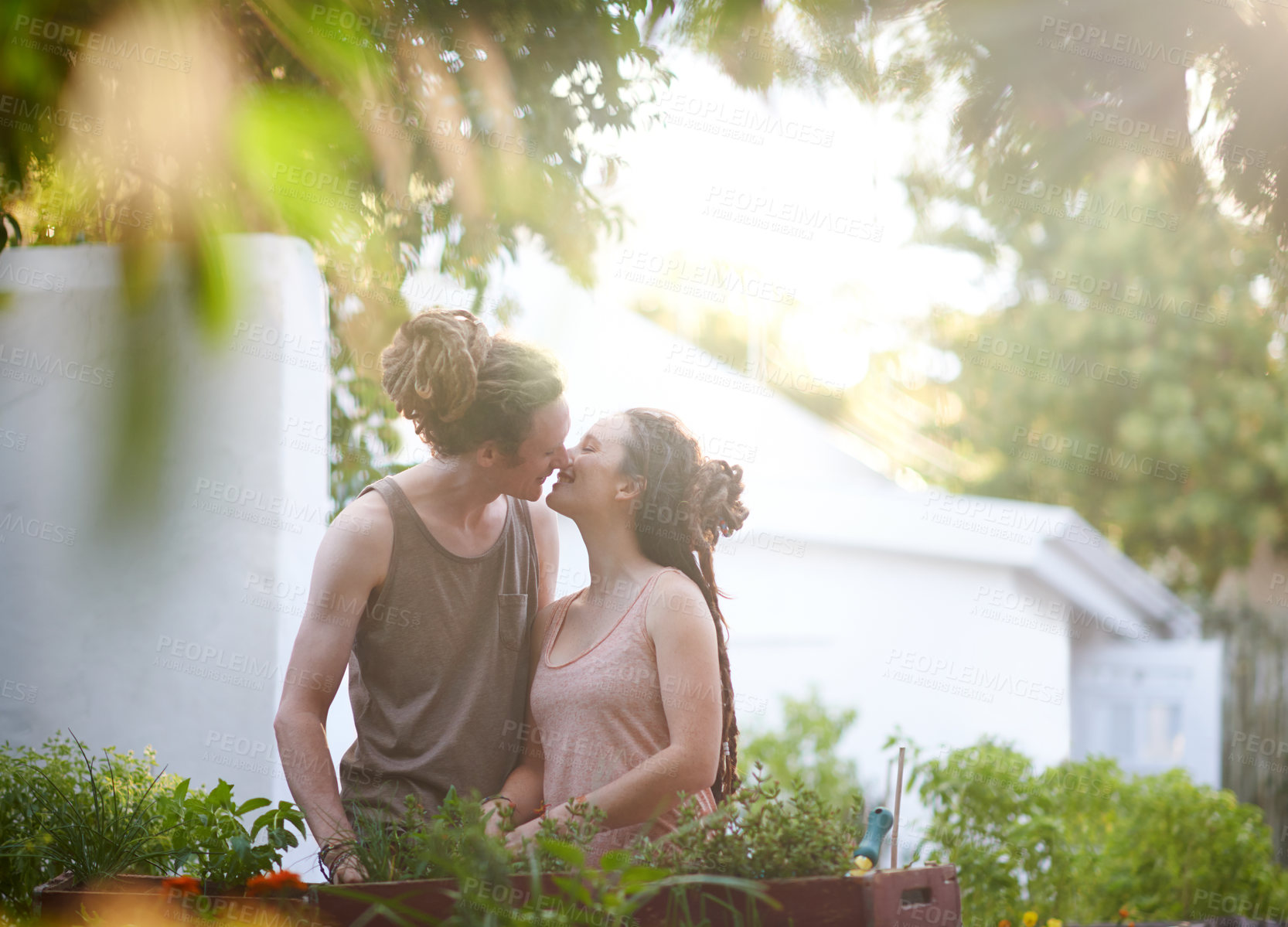 Buy stock photo Happy couple, kissing and working with plants in garden, harvest and sustainability of herbs for growth. People, man and woman caring for vegetables with smile, bonding and dating in relationship