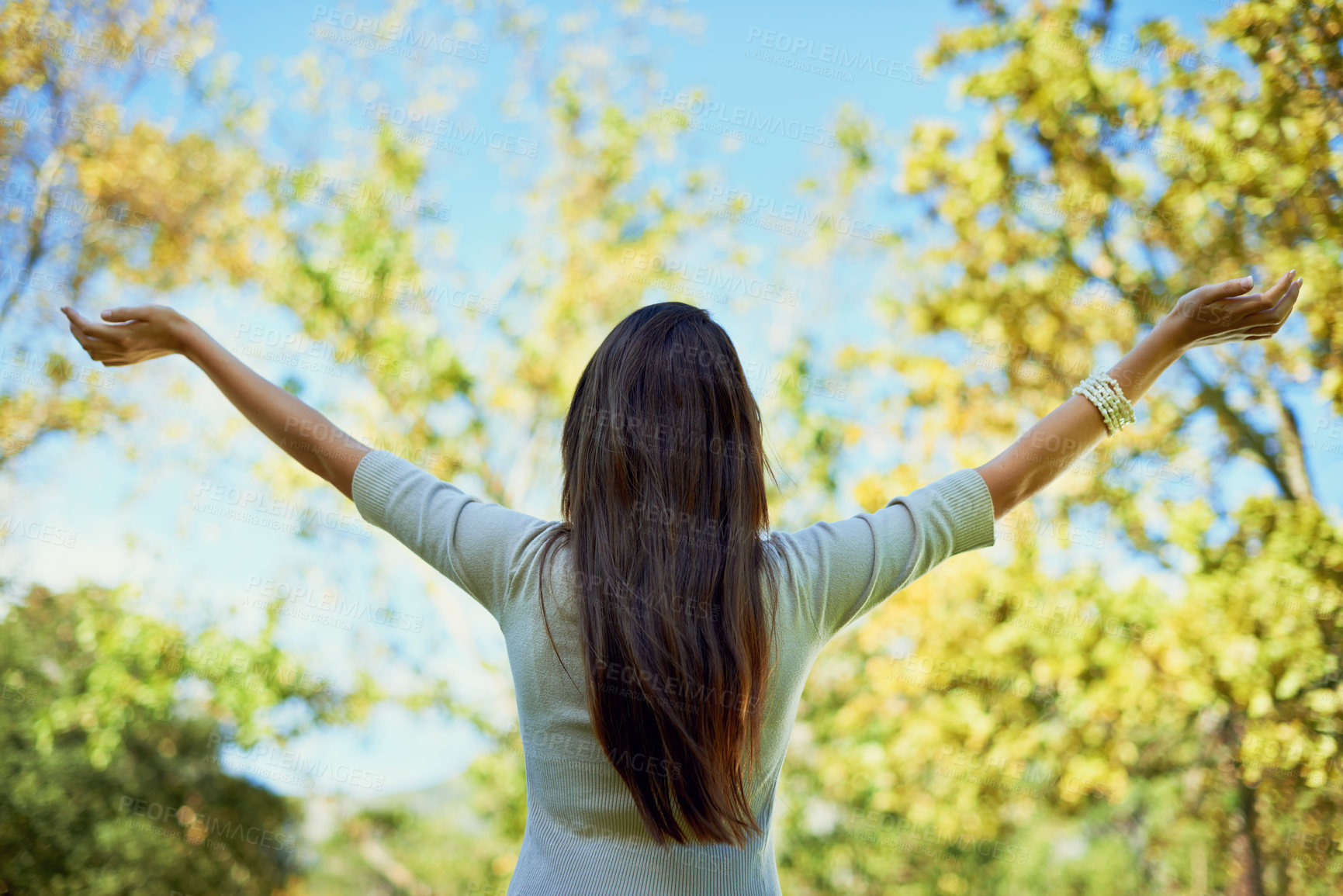 Buy stock photo Person, back and freedom in nature for outdoor wellness, travel and fresh air in environment and spring. Behind with casual and carefree hands by trees with celebration and stretching arms in a park