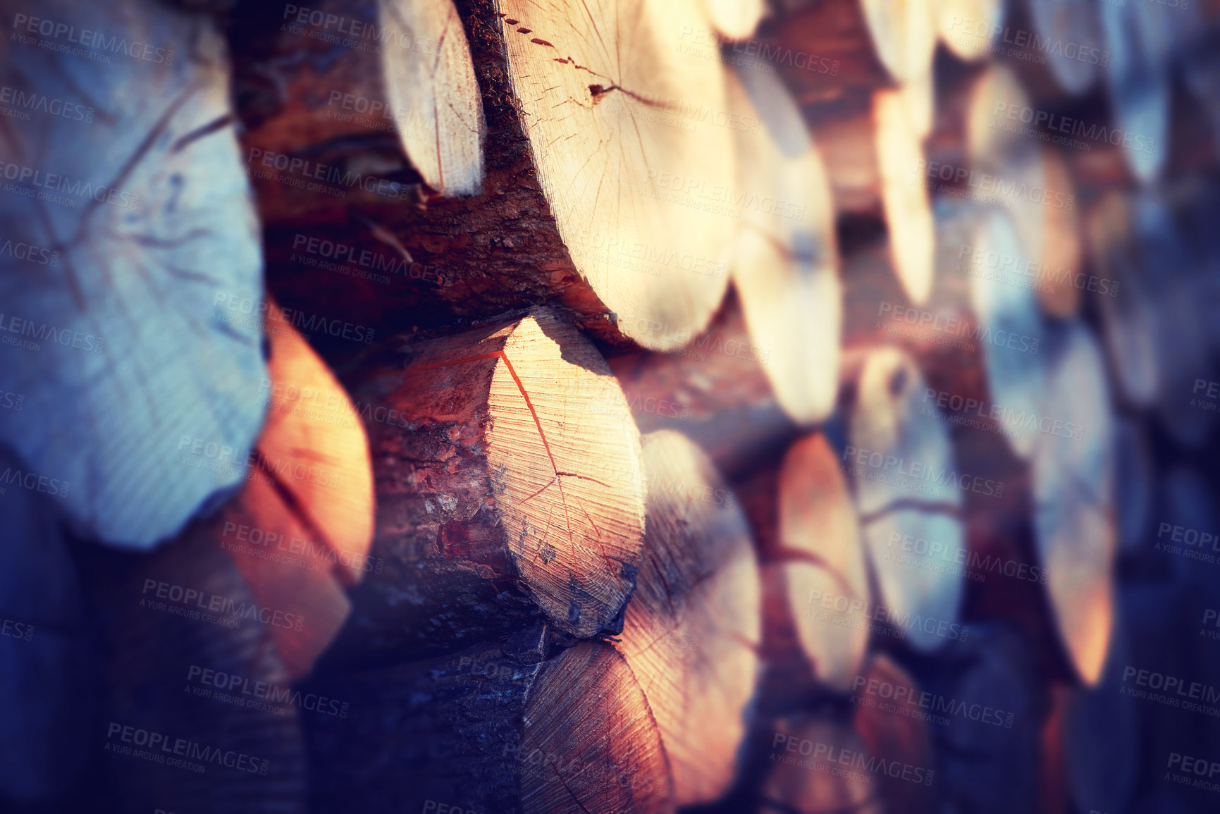 Buy stock photo Closeup shot of wooden logs