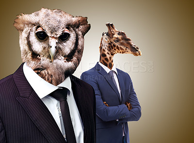 Buy stock photo Business people, corporate and animal heads with success, career and professional with formalwear. Owl, giraffe and employees with weird faces, bizarre and weird isolated against a studio background