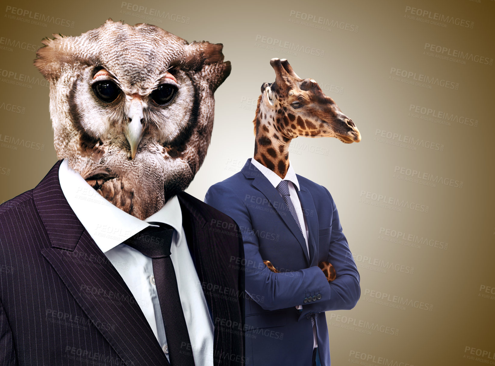 Buy stock photo Business people, corporate and animal heads with success, career and professional with formalwear. Owl, giraffe and employees with weird faces, bizarre and weird isolated against a studio background