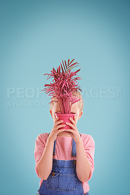 Buy stock photo Child, face and pot plant in studio or hiding with blue background for mockup space, colorful or decoration. Female person, kid and youth in Australia for growth development, floral or eco friendly