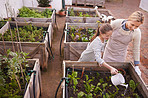 Healthy living through organic gardening