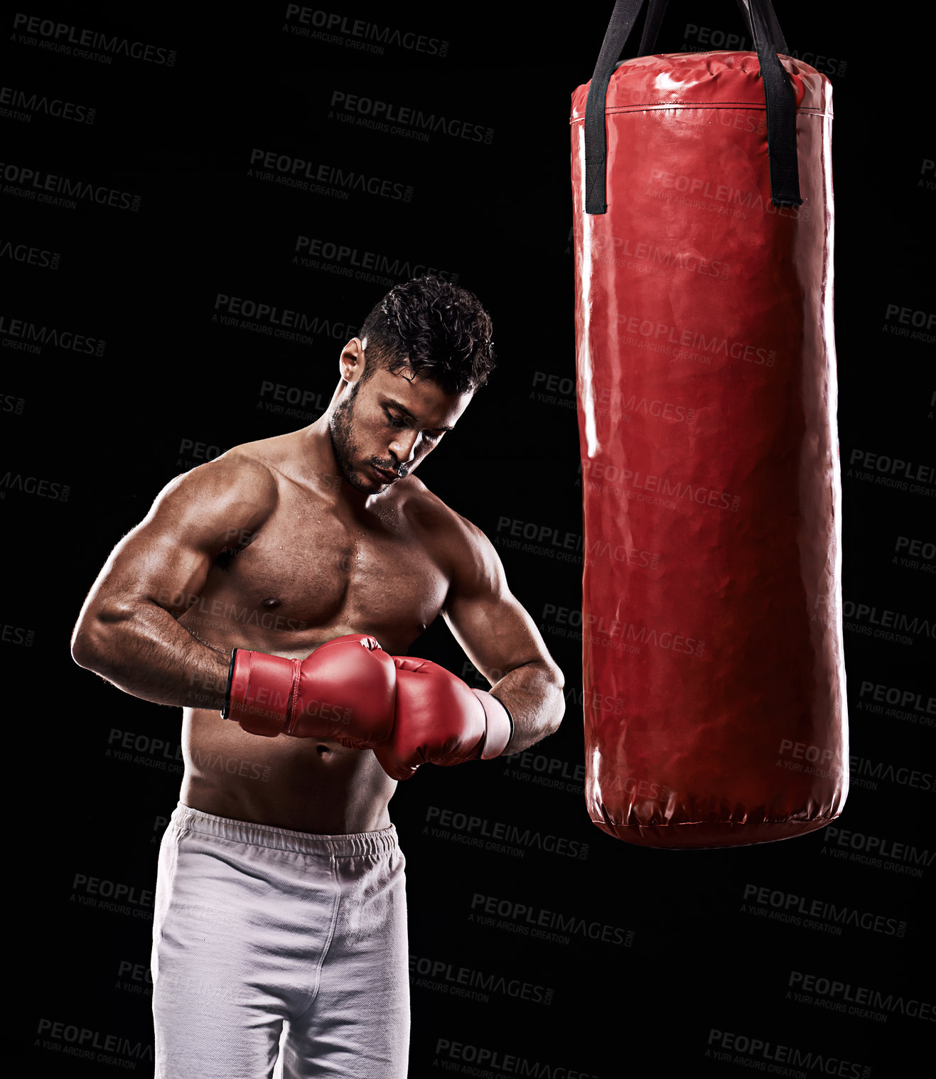 Buy stock photo Hands, boxing bag and gloves for male boxer, studio and  athlete on black background. Dark, training and combat sports or MMA for man model, workout, muscle and impact activity for martial arts