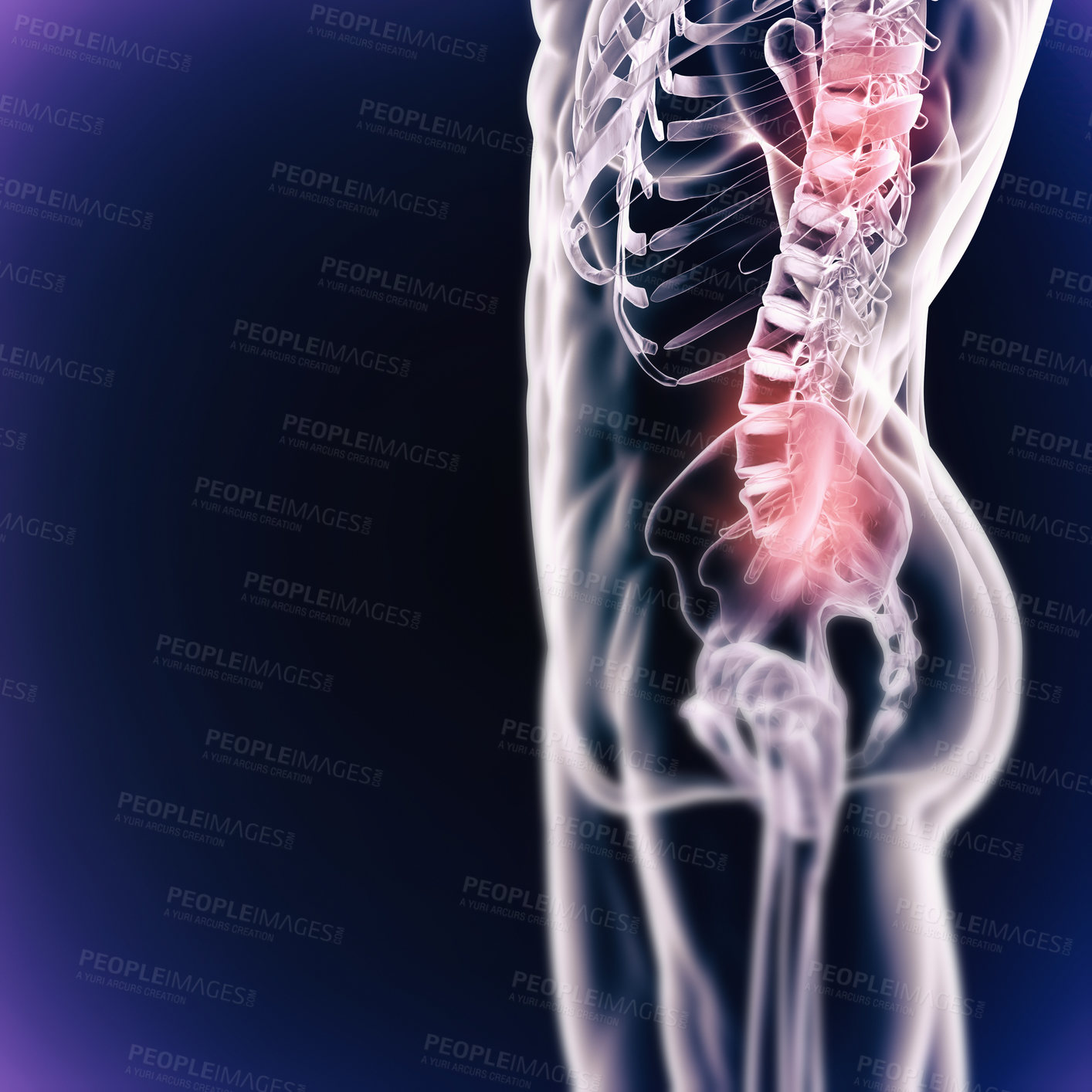 Buy stock photo Scan, anatomy and skeleton bones of body on x ray digital background. Graphic of human person in pain, medical and research or results of xray of back injury or fractured joint or spine of a patient