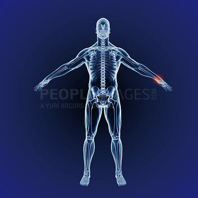 Buy stock photo A full length cgi representation of the human body indicating the skeletal structure