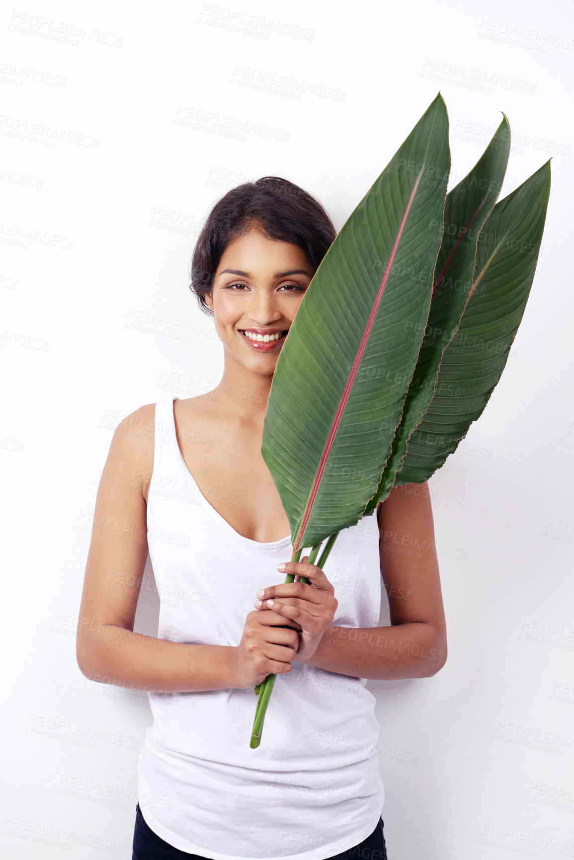Buy stock photo Studio shot of an attractive young ethnic woman holding palm fronds