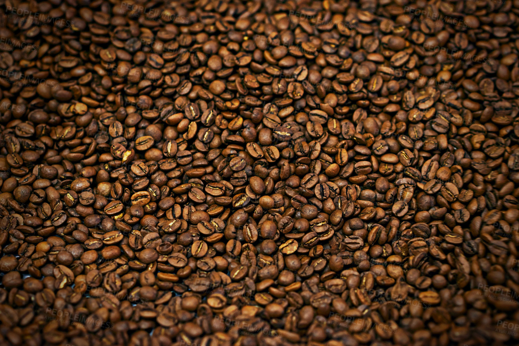 Buy stock photo Coffee beans, closeup and organic with natural source for export, trading or flavor with sustainability. Caffeine, supply chain and manufacturing with zoom, industry or logistics for distribution