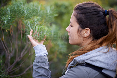 Buy stock photo Hiking, woman and touch plants in nature on holiday, vacation or travel on adventure in winter. Trekking, bush and young person outdoor in environment for journey in the countryside, forest or woods