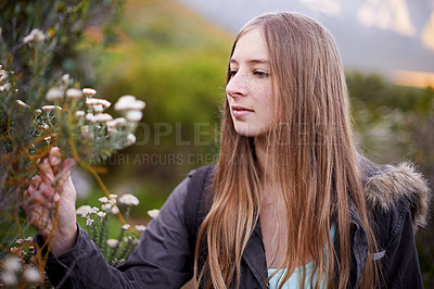 Buy stock photo Hiking, woman and touch flowers in nature on holiday, vacation or travel on adventure in winter. Trekking, plant or young person outdoor in environment for journey in the countryside, forest or woods