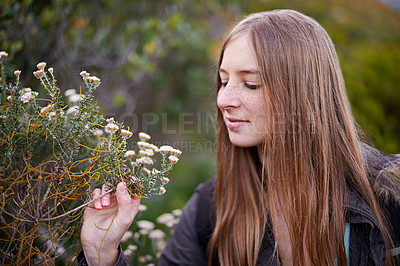 Buy stock photo Hiking, woman and touch flowers outdoor on holiday, vacation or travel on adventure in winter. Trekking, plant or young person in environment for journey in the countryside, forest or woods in nature