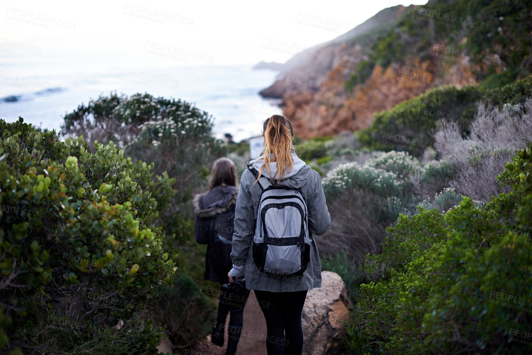 Buy stock photo Women, friends and hiking mountain or adventure environment for holiday vacation, trekking or backpacking. Female people, back and explore walking for healthy training or outdoor, exercise or bush