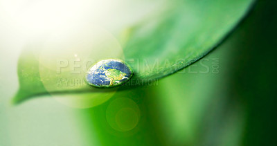 Buy stock photo Water drops, leaf and plant in world, nature or environment on a background in summer. Earth, droplet or planet with morning dew, abstract texture or liquid closeup for sustainability on mockup space