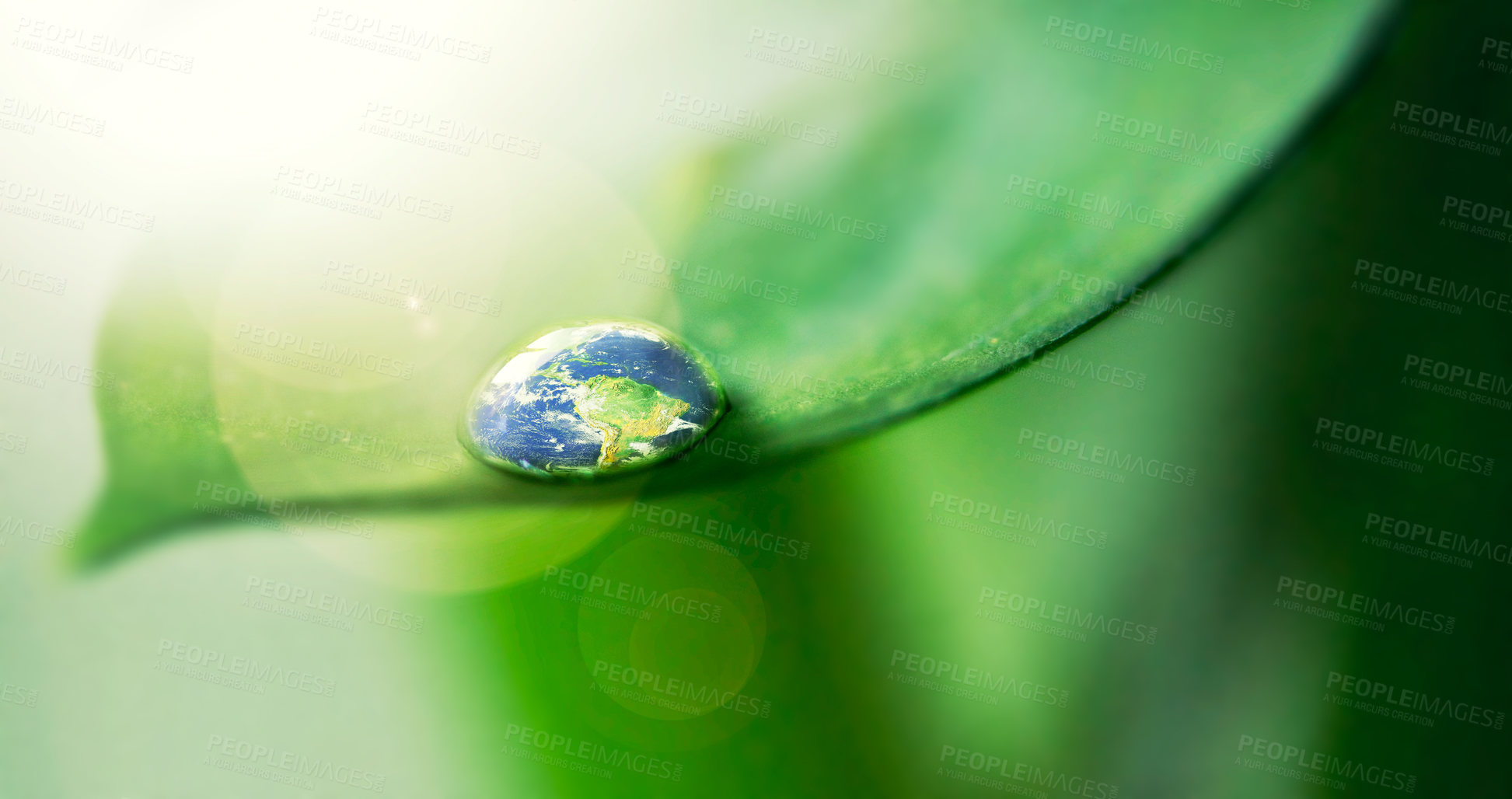 Buy stock photo Water drops, leaf and plant in world, nature or environment on a background in summer. Earth, droplet or planet with morning dew, abstract texture or liquid closeup for sustainability on mockup space