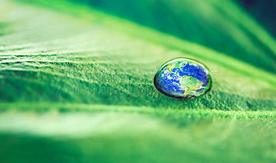 Buy stock photo Water drops, leaf and plant in nature, earth or environment on a green background in summer. World, droplet and planet with morning dew, abstract texture or raindrop liquid closeup on mockup space