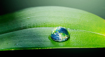 Buy stock photo Water drops, leaf and plant on planet, nature or environment on a background in summer. Earth, droplet or world with morning dew, abstract texture or liquid closeup for sustainability on mockup space