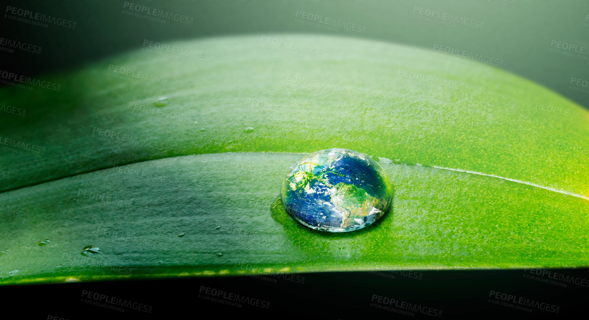 Buy stock photo Water drops, leaf and plant on planet, nature or environment on a background in summer. Earth, droplet or world with morning dew, abstract texture or liquid closeup for sustainability on mockup space